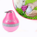 Mini Cute Pet Water Bottle/ Drinking Bottle